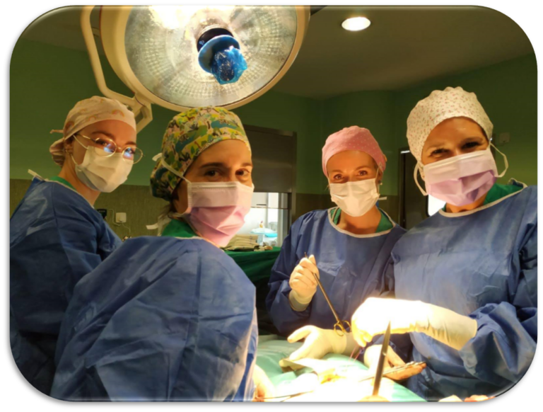 Students in operating room